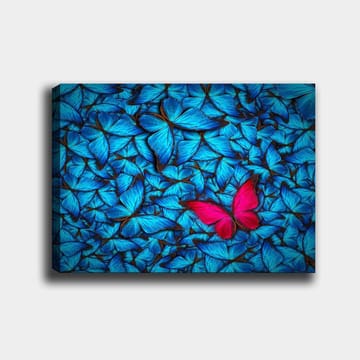 Canvastavla 70x100 cm - Samling av blå fjärilar med en framträdande rosa fjäril i mitten - Blå / Rosa - Inredning - Tavlor & posters - Canvastavla