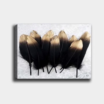 Canvastavla 70x100 cm - Samling av eleganta fjädrar i svart och guld - Svart / Guld - Inredning - Tavlor & posters - Canvastavla