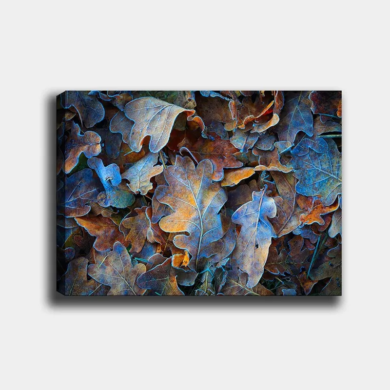 Canvastavla 70x100 cm - Samling av färgglada ekblad i olika nyanser som skapar en harmonisk och naturlig komposition, Blå / Orange / Brun