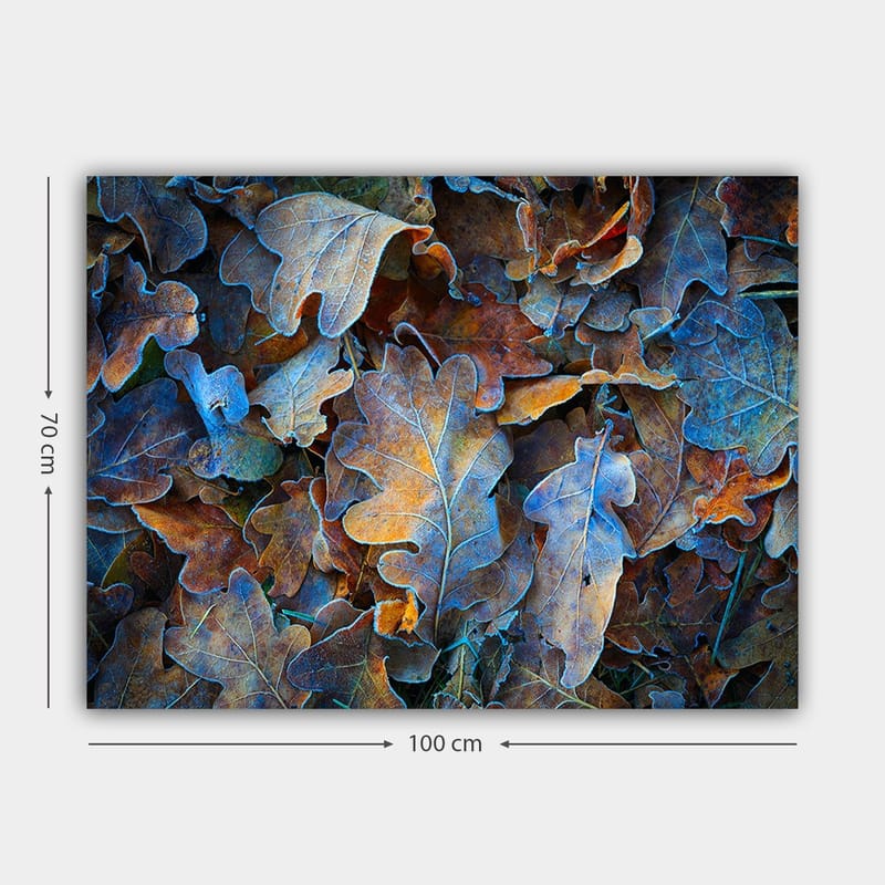 Canvastavla 70x100 cm - Samling av färgglada ekblad i olika nyanser som skapar en harmonisk och naturlig komposition - Blå / Orange / Brun - Inredning - Tavlor & posters - Canvastavla