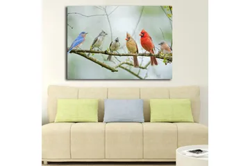 Canvastavla 70x100 cm - Samling av färgglada fåglar som sitter på en gren - Blå / Röd / Grå - Inredning - Tavlor & posters - Canvastavla
