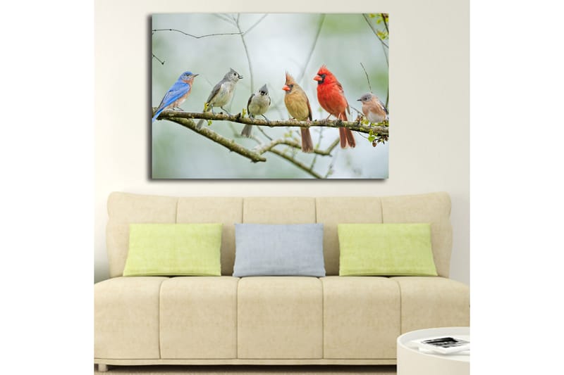 Canvastavla 70x100 cm - Samling av färgglada fåglar som sitter på en gren - Blå / Röd / Grå - Inredning - Tavlor & posters - Canvastavla