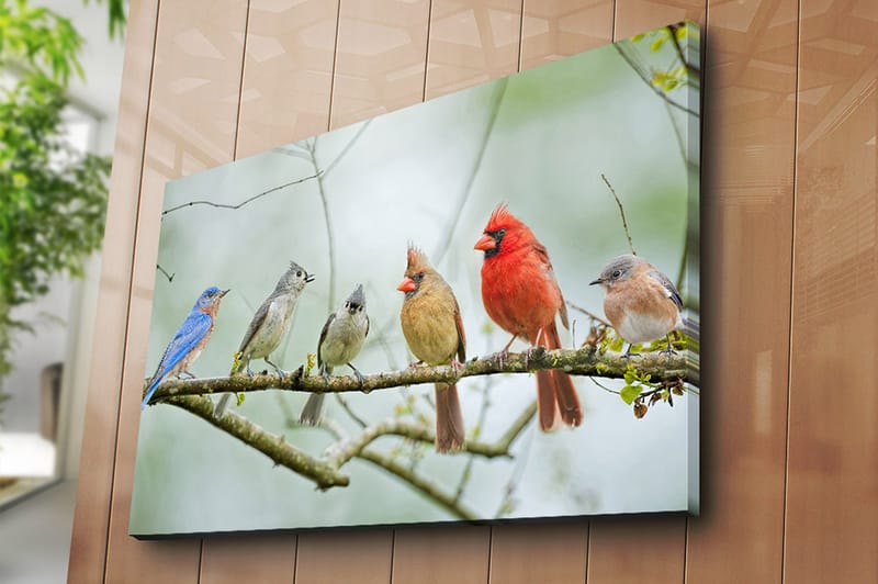 Canvastavla 70x100 cm - Samling av färgglada fåglar som sitter på en gren - Blå / Röd / Grå - Inredning - Tavlor & posters - Canvastavla