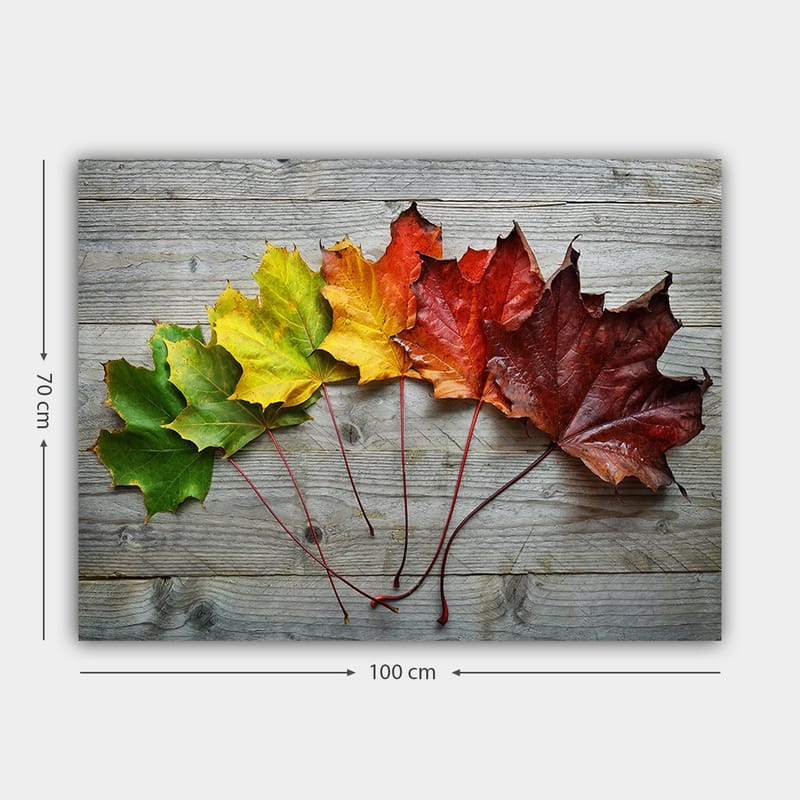 Canvastavla 70x100 cm - Samling av färgglada höstlöv i olika nyanser på en träyta - Grön / Gul / Röd - Inredning - Tavlor & posters - Canvastavla