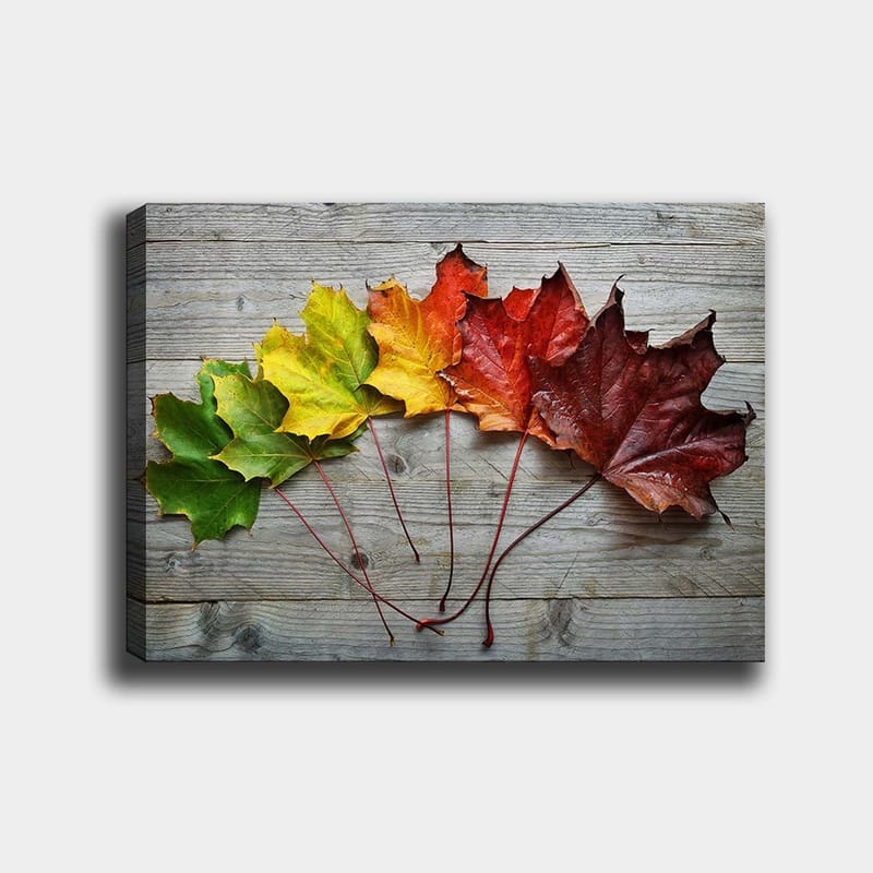 Canvastavla 70x100 cm - Samling av färgglada höstlöv i olika nyanser på en träyta, Grön / Gul / Röd