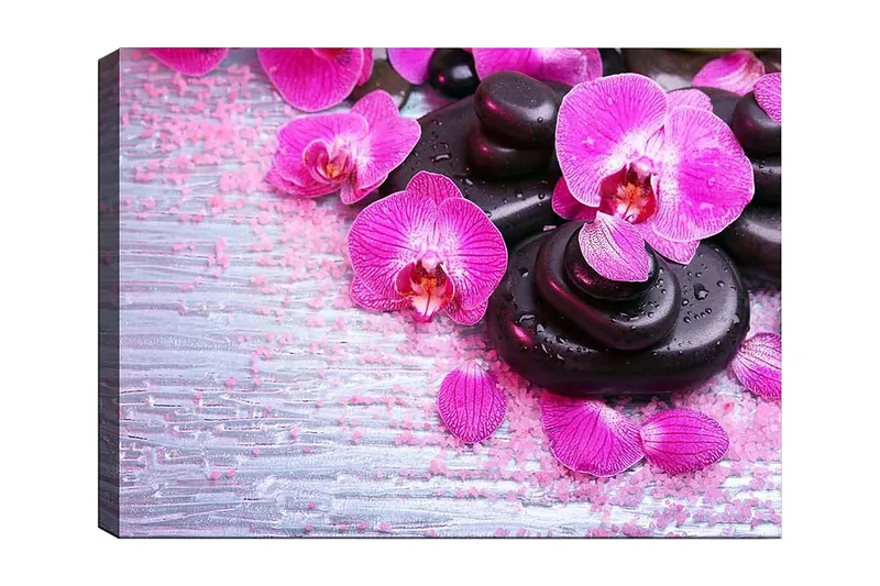Canvastavla 70x100 cm - Samling av lila orkidéer och svarta stenar på en ljus bakgrund - Lila / Svart - Inredning - Tavlor & posters - Canvastavla