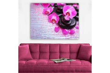 Canvastavla 70x100 cm - Samling av lila orkidéer och svarta stenar på en ljus bakgrund - Lila / Svart - Inredning - Tavlor & posters - Canvastavla