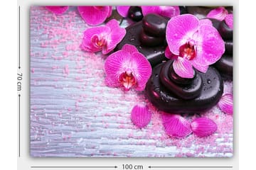 Canvastavla 70x100 cm - Samling av lila orkidéer och svarta stenar på en ljus bakgrund - Lila / Svart - Inredning - Tavlor & posters - Canvastavla