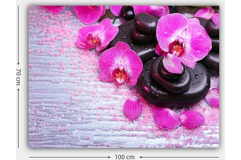 Canvastavla 70x100 cm - Samling av lila orkidéer och svarta stenar på en ljus bakgrund - Lila / Svart - Inredning - Tavlor & posters - Canvastavla