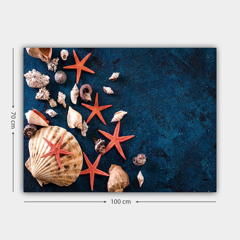 Canvastavla 70x100 cm - Samling av snäckor och sjöstjärnor på en djupblå yta - Djupblå / Röd / Beige - Inredning - Tavlor & posters - Canvastavla