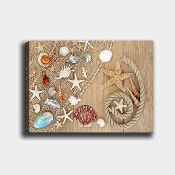 Canvastavla 70x100 cm - Samling av snäckor och sjöstjärnor på en träyta - Beige / Vit / Brun - Inredning - Tavlor & posters - Canvastavla