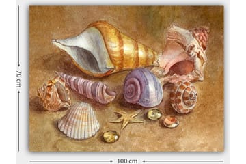 Canvastavla 70x100 cm - Samling av snäckor och stenar i mjuka, naturliga färger - Beige / Lila / Orange - Inredning - Tavlor & posters - Canvastavla