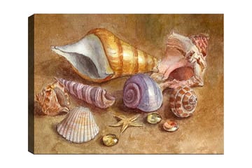 Canvastavla 70x100 cm - Samling av snäckor och stenar i mjuka, naturliga färger - Beige / Lila / Orange - Inredning - Tavlor & posters - Canvastavla