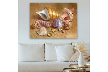 Canvastavla 70x100 cm - Samling av snäckor och stenar i mjuka, naturliga färger - Beige / Lila / Orange - Inredning - Tavlor & posters - Canvastavla