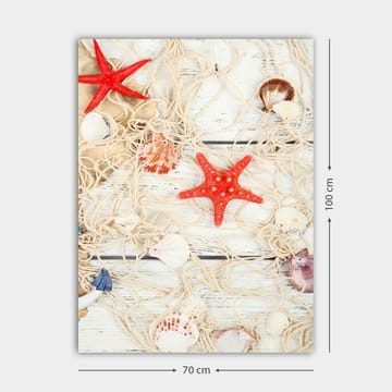 Canvastavla 70x100 cm - Samling av snäckor och stjärnformade sjöstjärnor på ett nät - Röd / Beige / Vit - Inredning - Tavlor & posters - Canvastavla