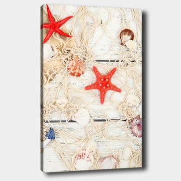Canvastavla 70x100 cm - Samling av snäckor och stjärnformade sjöstjärnor på ett nät - Röd / Beige / Vit - Inredning - Tavlor & posters - Canvastavla