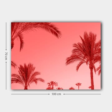 Canvastavla 70x100 cm - Silhuetter av palmer mot en rödaktig himmel - Röd / Rosa - Inredning - Tavlor & posters - Canvastavla