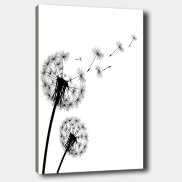 Canvastavla 70x100 cm - Siluetter av maskrosor som sprider sina frön i vinden - Svart / Vitt - Inredning - Tavlor & posters - Canvastavla