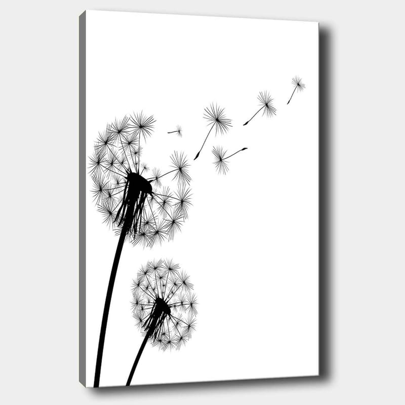 Canvastavla 70x100 cm - Siluetter av maskrosor som sprider sina frön i vinden, Svart / Vitt