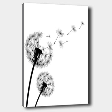 Canvastavla 70x100 cm - Siluetter av maskrosor som sprider sina frön i vinden - Svart / Vitt - Inredning - Tavlor & posters - Canvastavla