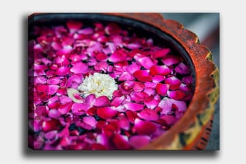 Canvastavla 70x100 cm - Skål med rosa rosblad och en vit blomma som flyter på ytan - Rosa / Vit - Inredning - Tavlor & posters - Canvastavla