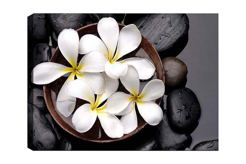 Canvastavla 70x100 cm - Skål med vita blommor och svarta stenar, Vit / Svart / Gul