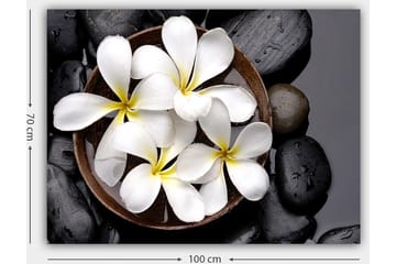 Canvastavla 70x100 cm - Skål med vita blommor och svarta stenar - Vit / Svart / Gul - Inredning - Tavlor & posters - Canvastavla