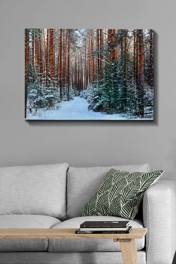 Canvastavla 70x100 cm - Snötäckt skogsgång omgiven av höga, rödbruna tallar - Rödbrun / Vit / Grön - Inredning - Tavlor & posters - Canvastavla