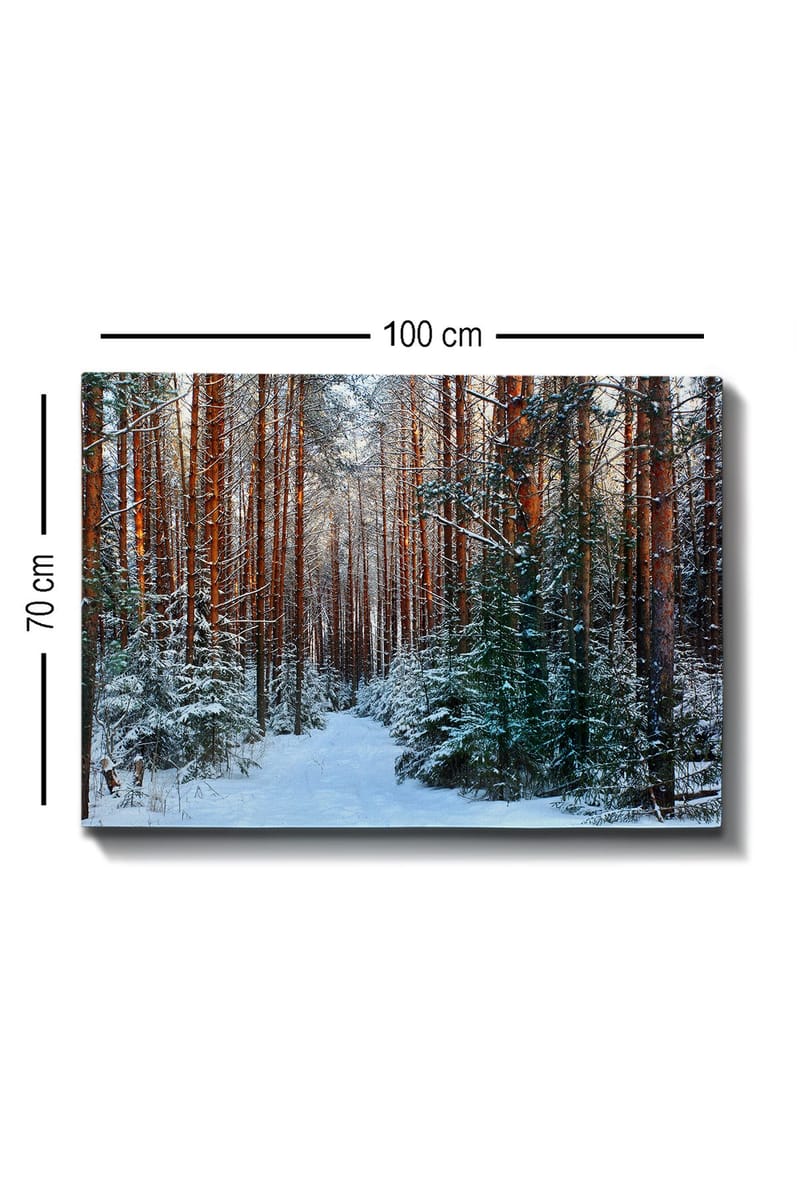 Canvastavla 70x100 cm - Snötäckt skogsgång omgiven av höga, rödbruna tallar - Rödbrun / Vit / Grön - Inredning - Tavlor & posters - Canvastavla