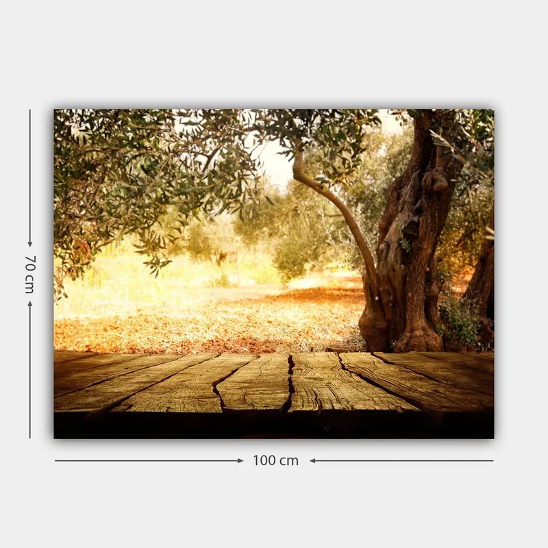 Canvastavla 70x100 cm - Solbelyst landskapsscen med olivträd och en träyta i förgrunden - Guld / Brun / Grön - Inredning - Tavlor & posters - Canvastavla