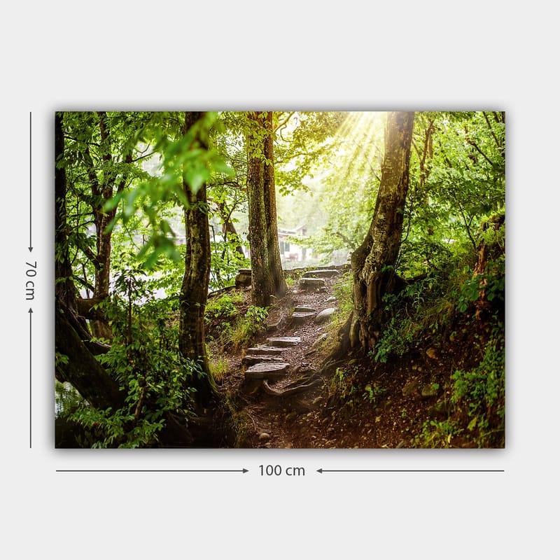 Canvastavla 70x100 cm - Solbelyst stig omgiven av grönska i en skogsmiljö - Grön / Brun - Inredning - Tavlor & posters - Canvastavla