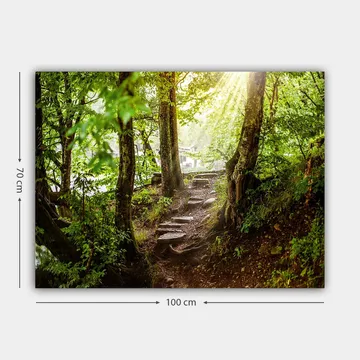 Canvastavla 70x100 cm - Solbelyst stig omgiven av grönska i en skogsmiljö - Grön / Brun - Inredning - Tavlor & posters - Canvastavla