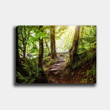Canvastavla 70x100 cm - Solbelyst stig omgiven av grönska i en skogsmiljö - Grön / Brun - Inredning - Tavlor & posters - Canvastavla