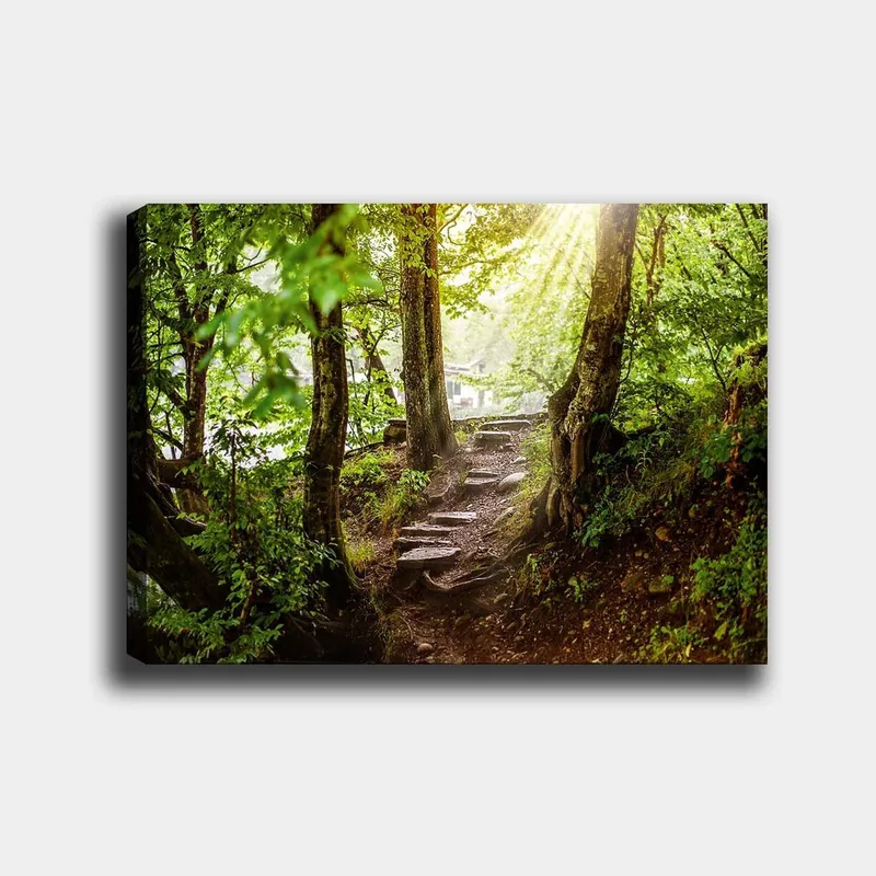 Canvastavla 70x100 cm - Solbelyst stig omgiven av grönska i en skogsmiljö, Grön / Brun
