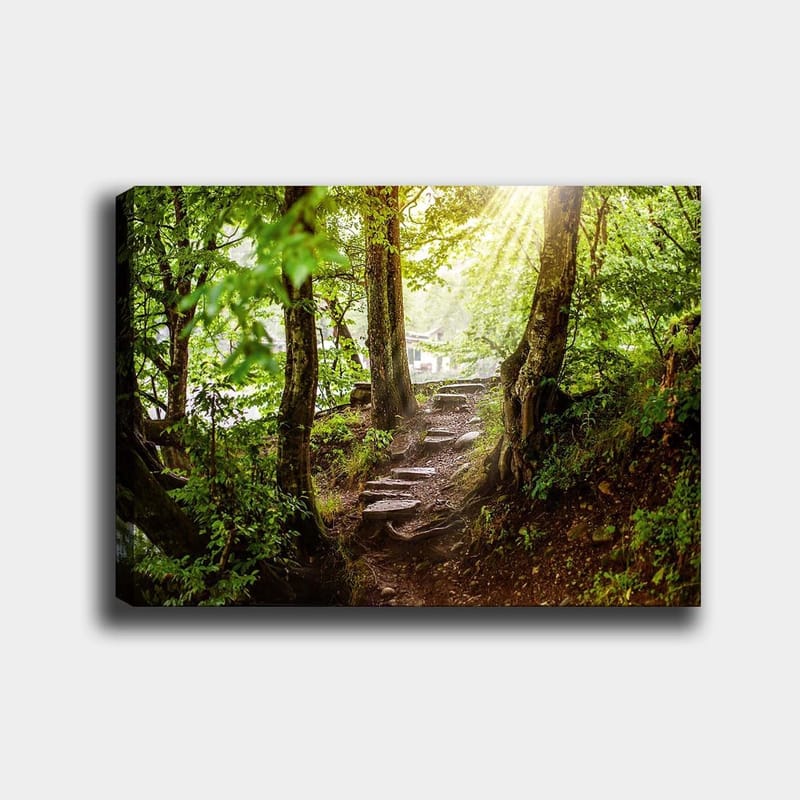 Canvastavla 70x100 cm - Solbelyst stig omgiven av grönska i en skogsmiljö, Grön / Brun
