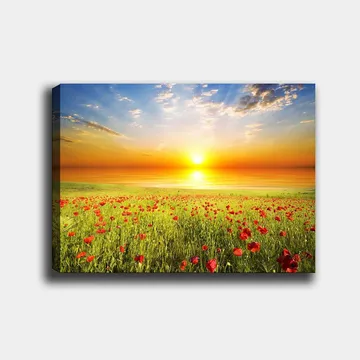 Canvastavla 70x100 cm - Solnedgång över en blomstrande vall av röda vallmo - Röd / Grön / Orange - Inredning - Tavlor & posters - Canvastavla
