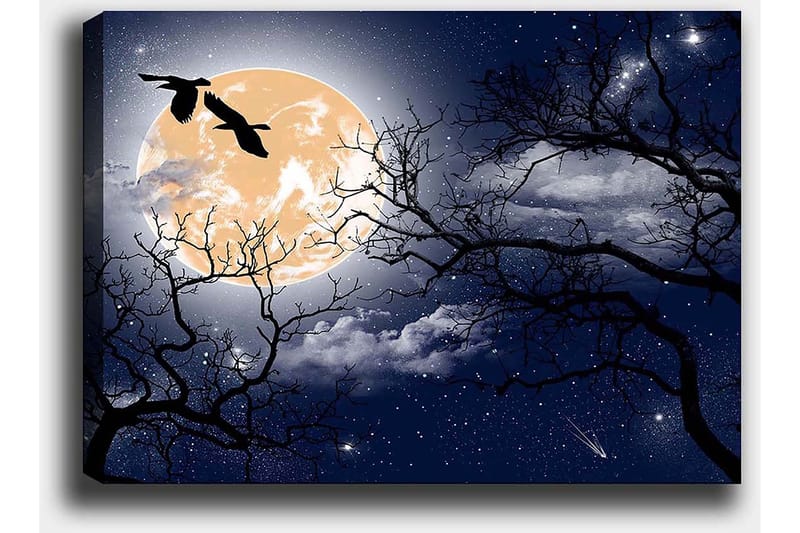 Canvastavla 70x100 cm - Stämningsfull nattlandskap med en stor måne och silhuetter av träd samt fåglar som flyger över himlen - Mörkblå / Svart / Ljusgul - Inredning - Tavlor & posters - Canvastavla