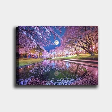 Canvastavla 70x100 cm - Stämningsfull scen med körsbärsträd i blom och en fullmåne som speglas i en stilla sjö - Rosa / Blå / Grön - Inredning - Tavlor & posters - Canvastavla