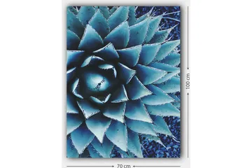 Canvastavla 70x100 cm - Stiliserad bild av en agaveplanta med fokus på dess symmetriska bladstruktur - Blå / Grön - Inredning - Tavlor & posters - Canvastavla