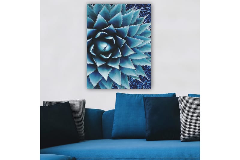 Canvastavla 70x100 cm - Stiliserad bild av en agaveplanta med fokus på dess symmetriska bladstruktur - Blå / Grön - Inredning - Tavlor & posters - Canvastavla