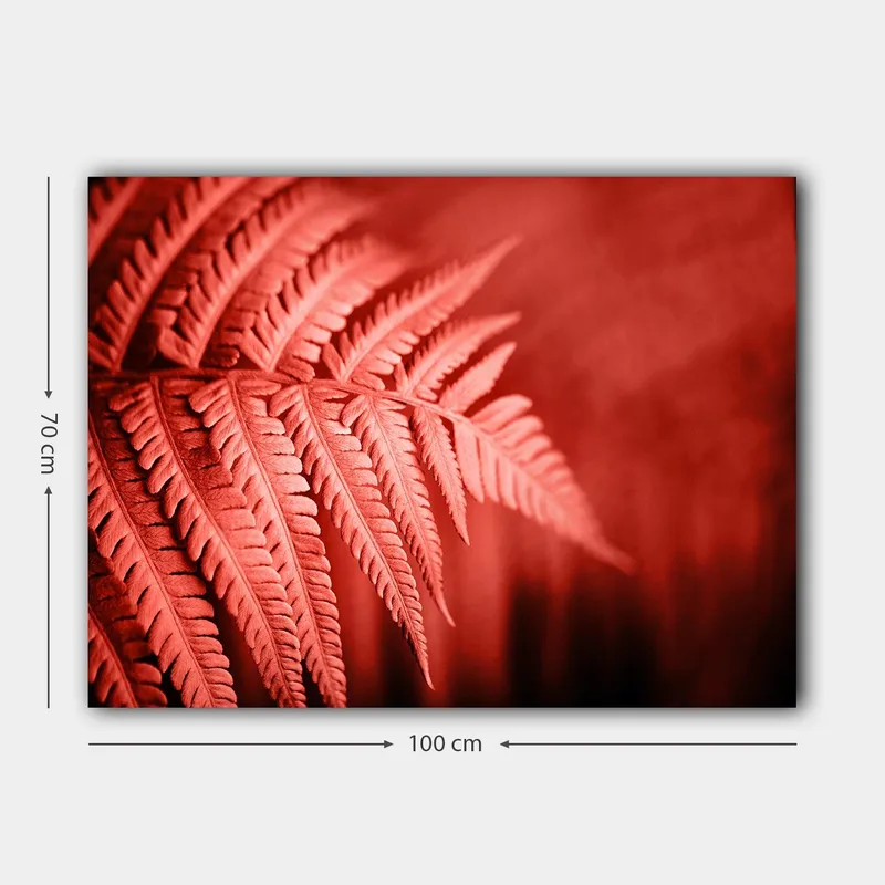 Canvastavla 70x100 cm - Stiliserad bild av ett rödaktigt ormbunke som framhäver dess detaljer - Röd / Svart - Inredning - Tavlor & posters - Canvastavla