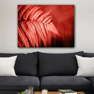 Canvastavla 70x100 cm - Stiliserad bild av ett rödaktigt ormbunke som framhäver dess detaljer - Röd / Svart - Inredning - Tavlor & posters - Canvastavla