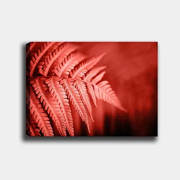 Canvastavla 70x100 cm - Stiliserad bild av ett rödaktigt ormbunke som framhäver dess detaljer - Röd / Svart - Inredning - Tavlor & posters - Canvastavla