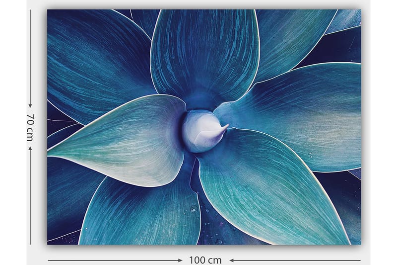 Canvastavla 70x100 cm - Stiliserad närbild av en växt med stora, böljande blad - Blå / Turkos - Inredning - Tavlor & posters - Canvastavla