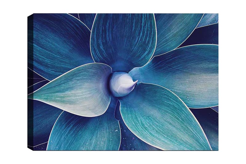 Canvastavla 70x100 cm - Stiliserad närbild av en växt med stora, böljande blad, Blå / Turkos