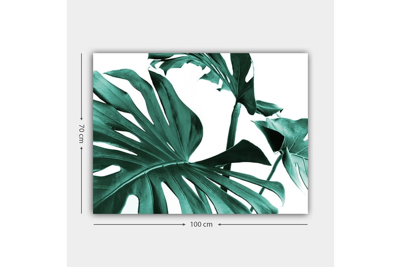 Canvastavla 70x100 cm - Stiliserade gröna palmblad mot en vit bakgrund - Mörkgrön / Turkos - Inredning - Tavlor & posters - Canvastavla