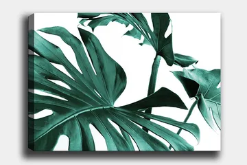 Canvastavla 70x100 cm - Stiliserade gröna palmblad mot en vit bakgrund - Mörkgrön / Turkos - Inredning - Tavlor & posters - Canvastavla