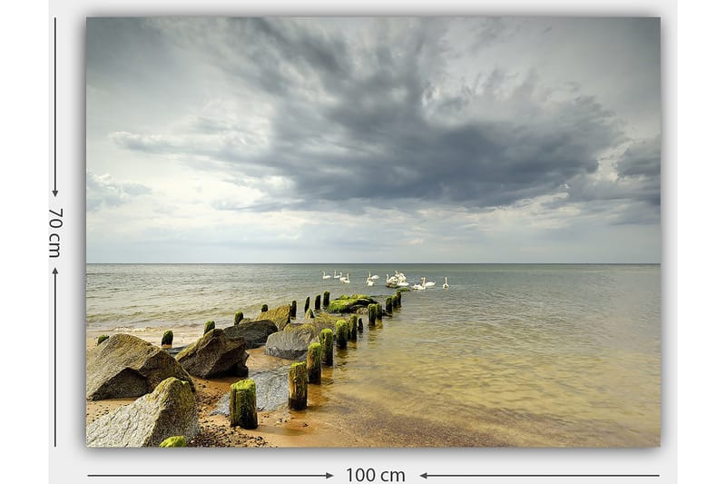 Canvastavla 70x100 cm - Stilla sjöscen med svanar som simmar vid en brygga omgiven av stenar - Grå / Grön / Blå - Inredning - Tavlor & posters - Canvastavla