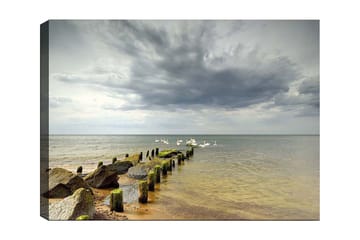 Canvastavla 70x100 cm - Stilla sjöscen med svanar som simmar vid en brygga omgiven av stenar - Grå / Grön / Blå - Inredning - Tavlor & posters - Canvastavla