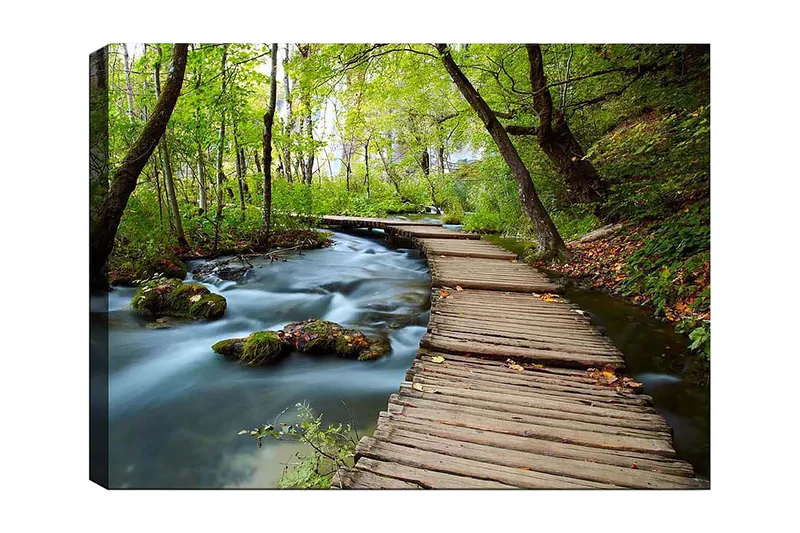 Canvastavla 70x100 cm - Stilla skogsstig som slingrar sig över en porlande bäck omgiven av grönskande träd och växtlighet, Grön / Brun / Blå